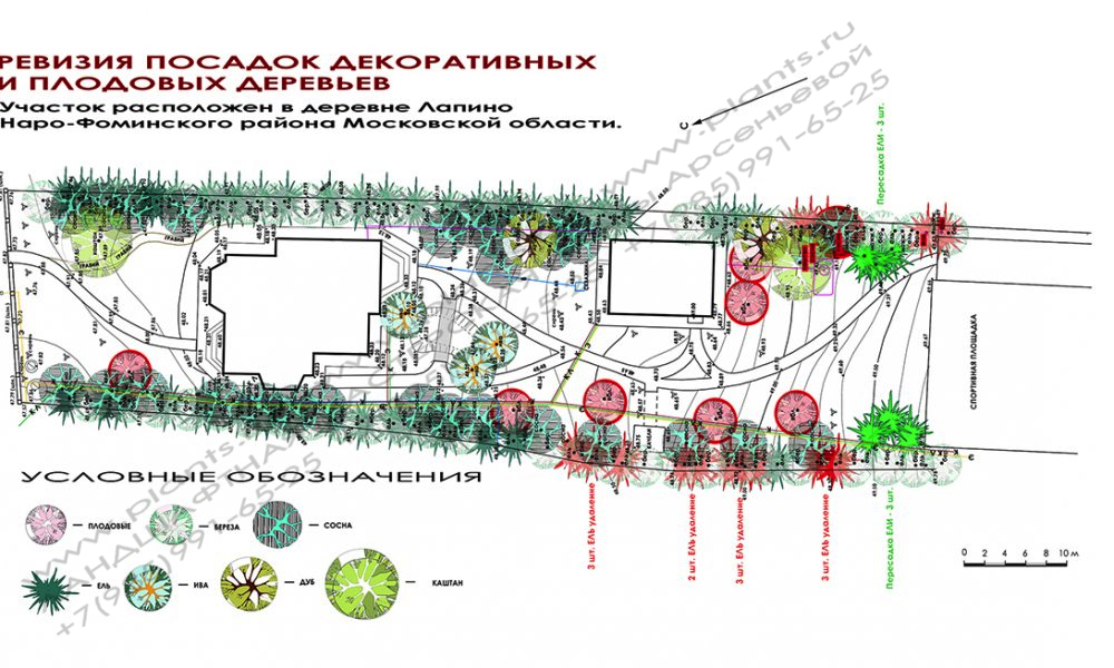 Проект ландшафтного дизайна участка - посадочный чертеж к дендроплану